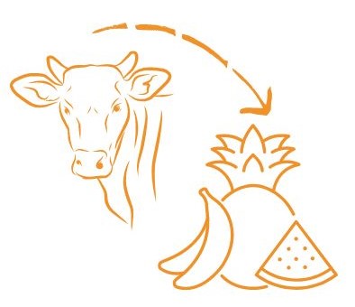 Immagini Expected resullts - 2